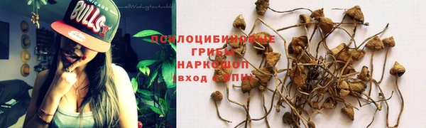 мдма Весьегонск
